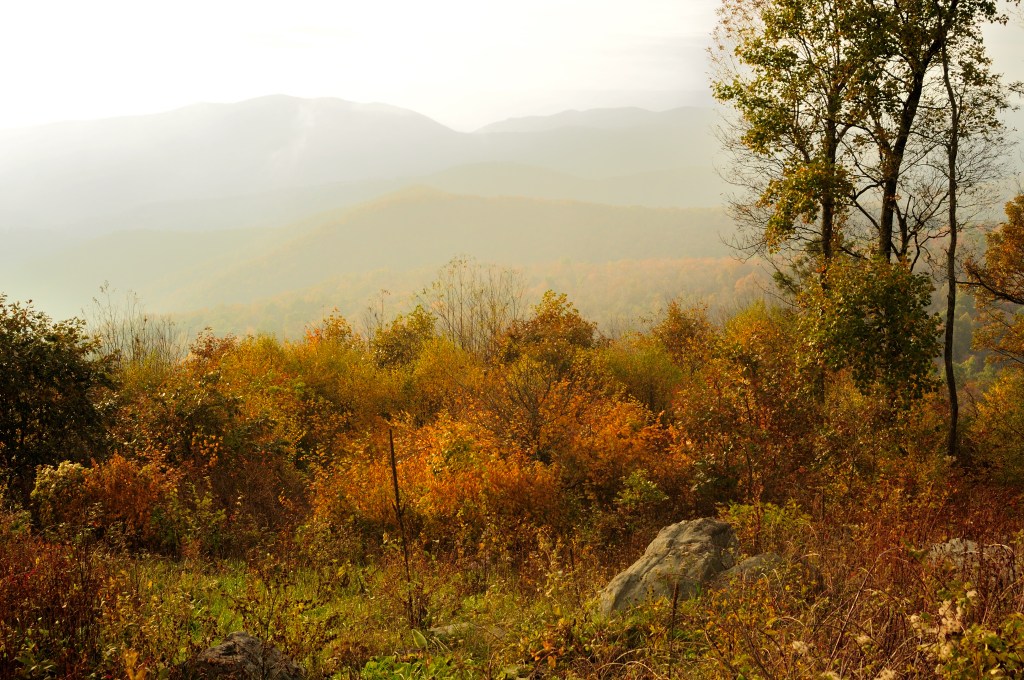Hightop in the&nbsp;Autumn