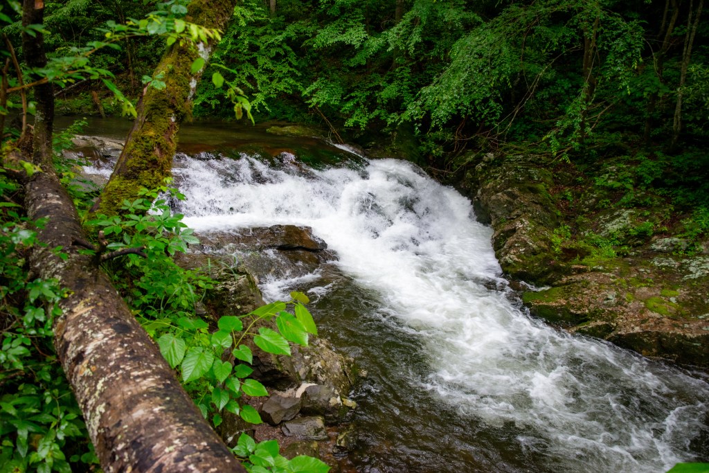 Trust and Healing in the Smoky&nbsp;Mountains