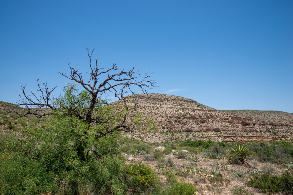 Overwhelmed by Nothing