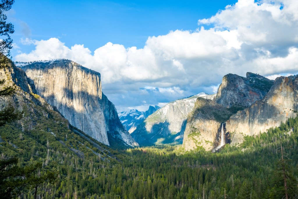 A Wake-Up Call to the&nbsp;Heart