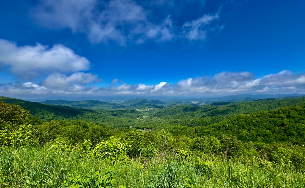 Detoxing in the Silence: My Time on Skyline&nbsp;Drive