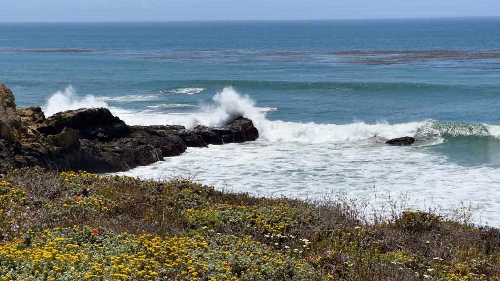 The Blessing of a Closed Door: A lesson from the Pacific Coast&nbsp;Highway