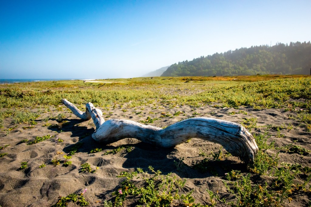 Life Is Not a&nbsp;Competition